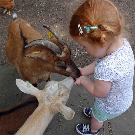 Chalet Campeggio Wilbertoord